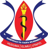 Muhimbili National Hospital (MNH)